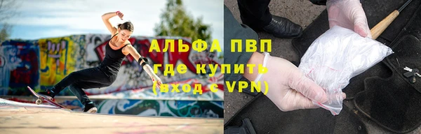 гашик Алексеевка