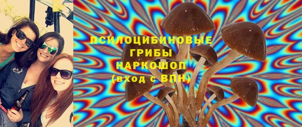 ешки Алексин