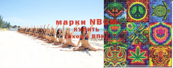 гашик Алексеевка