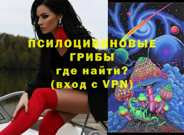 шишки Алзамай