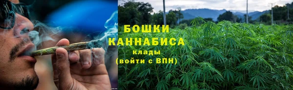 шишки Алзамай