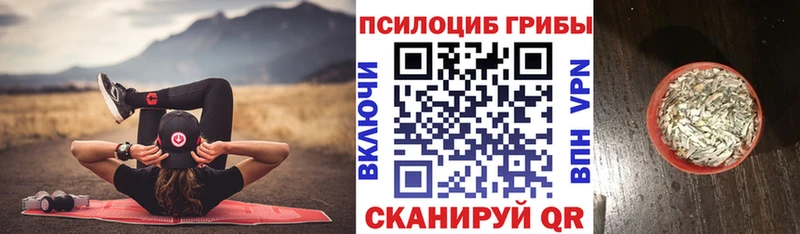 МЕГА ССЫЛКА  хочу наркоту  Заинск  Псилоцибиновые грибы Psilocybine cubensis 